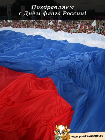 Поздравляем с днем флага России!
