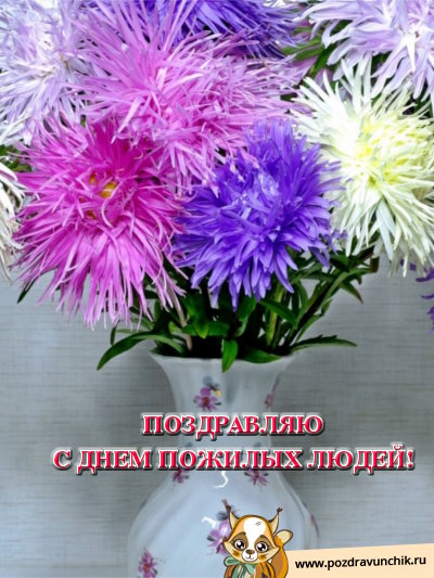 Поздравляю с днем пожилых людей!