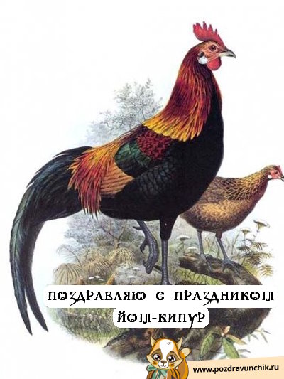 Поздравляю с праздником Йом Кипур!