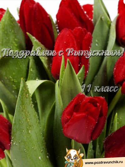 Поздравляю с выпускным!