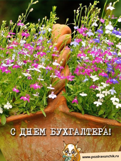 С днем бухгалтера!