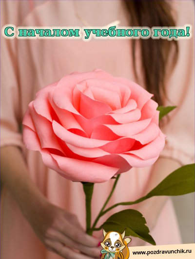 С началом учебного года!