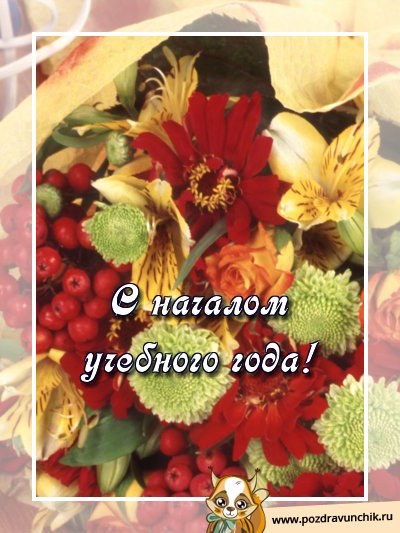 С началом учебного года!