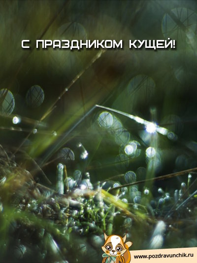С праздником кущей!