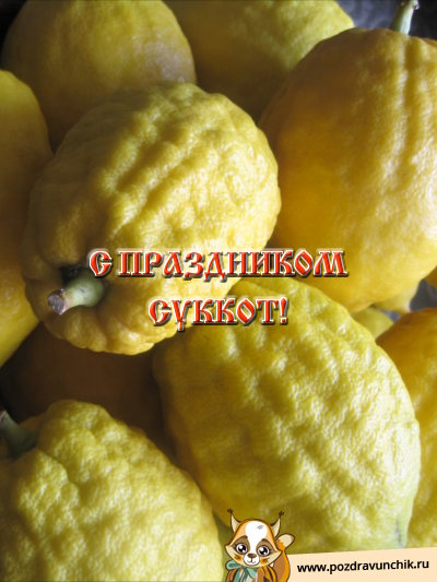 С праздником Суккот!