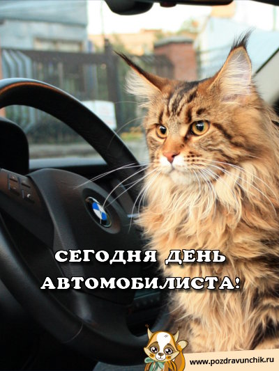 Сегодня день автомобилиста!