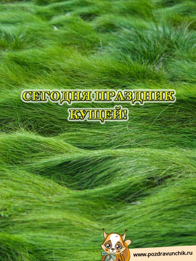 Сегодня праздник кущей!