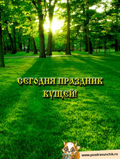 Сегодня праздник кущей!