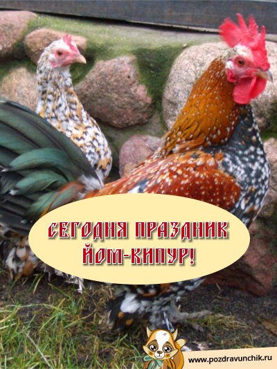 Сегодня праздник Йом Кипур