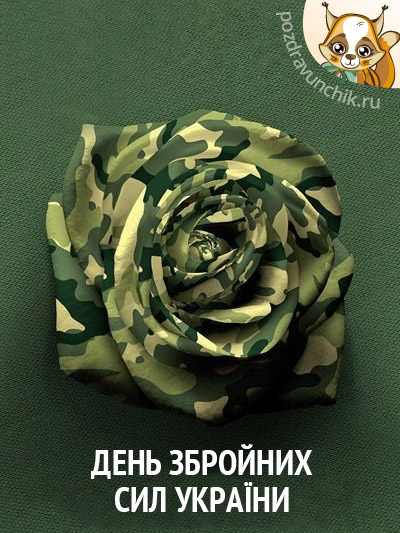 День вооруженных сил Украины