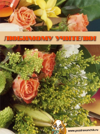 Любимому учителю!