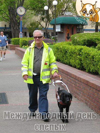 Международный день слепых