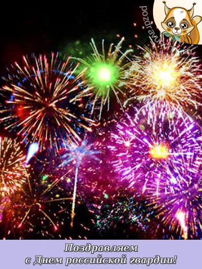 Поздравляем с днем российской гвардии!