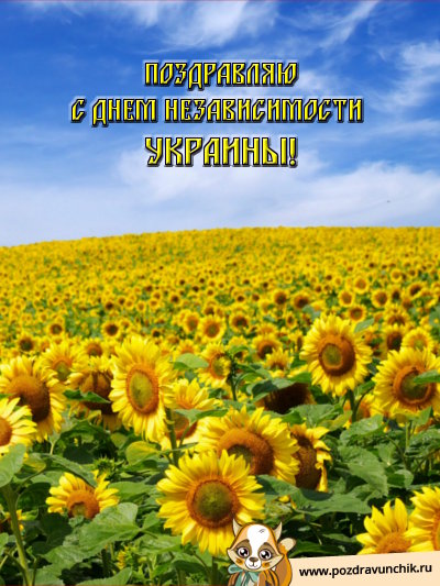 Поздравляю с днем независимости Украины!