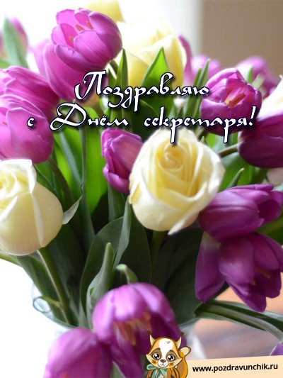 Поздравляю с днём секретаря!