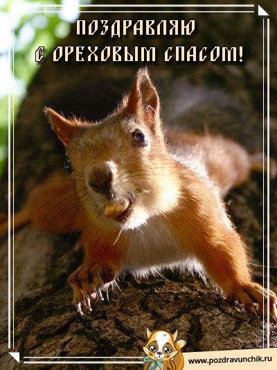 Поздравляю с ореховым спасом