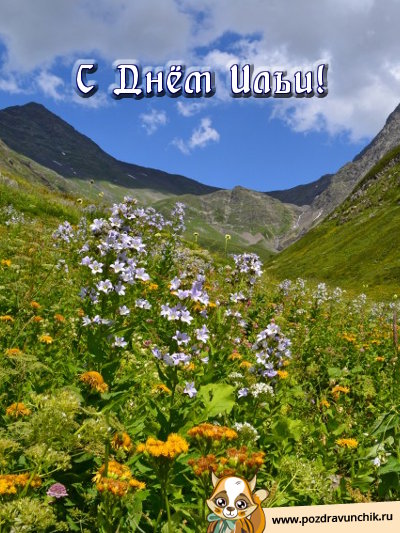 С днём Ильи!