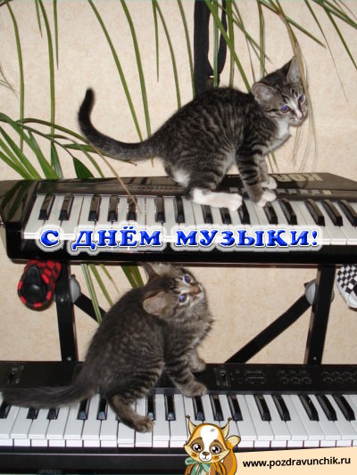 С днём музыки!