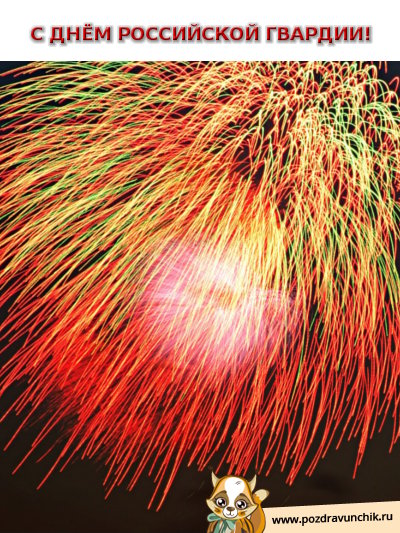 С днем российской гвардии!