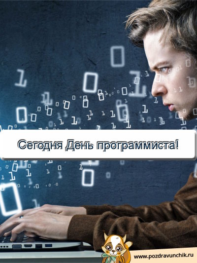 Сегодня день программиста!