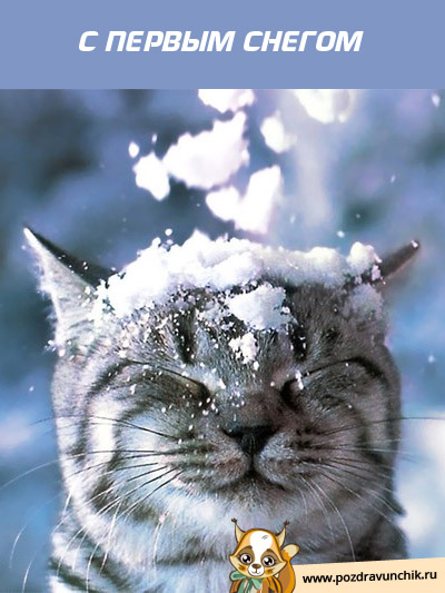 С первым снегом