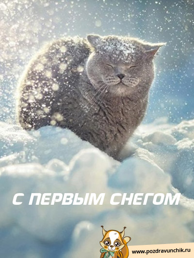 С первым снегом